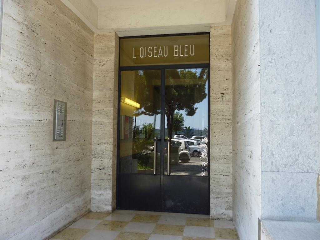 Oiseau Bleu Nizza